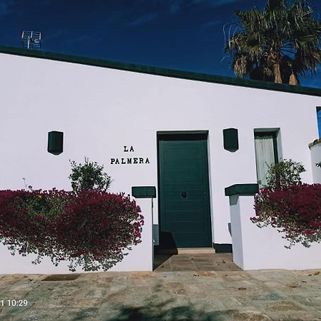 Casa La Palmera - Solo Familias Y Parejas Conil De La Frontera Buitenkant foto