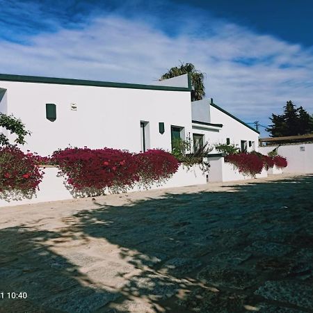 Casa La Palmera - Solo Familias Y Parejas Conil De La Frontera Buitenkant foto