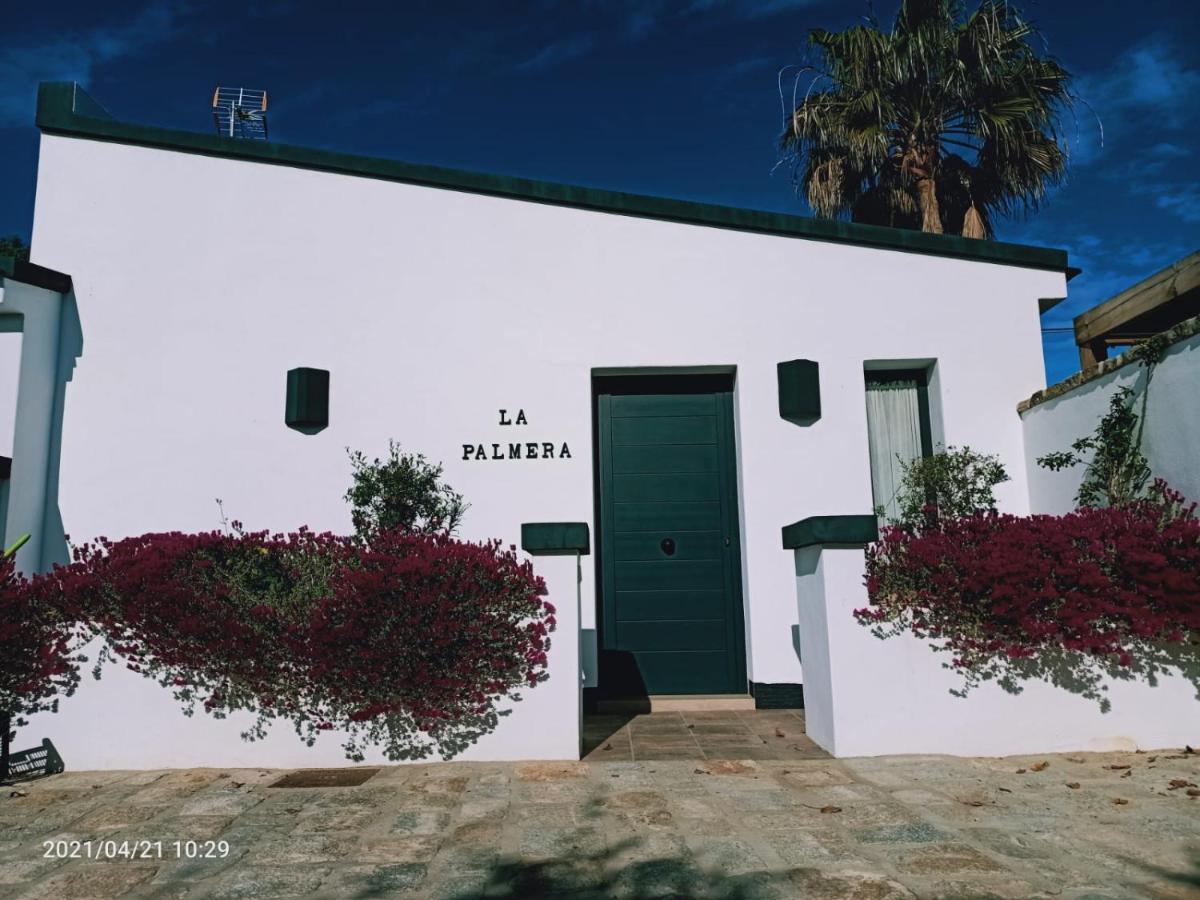 Casa La Palmera - Solo Familias Y Parejas Conil De La Frontera Buitenkant foto