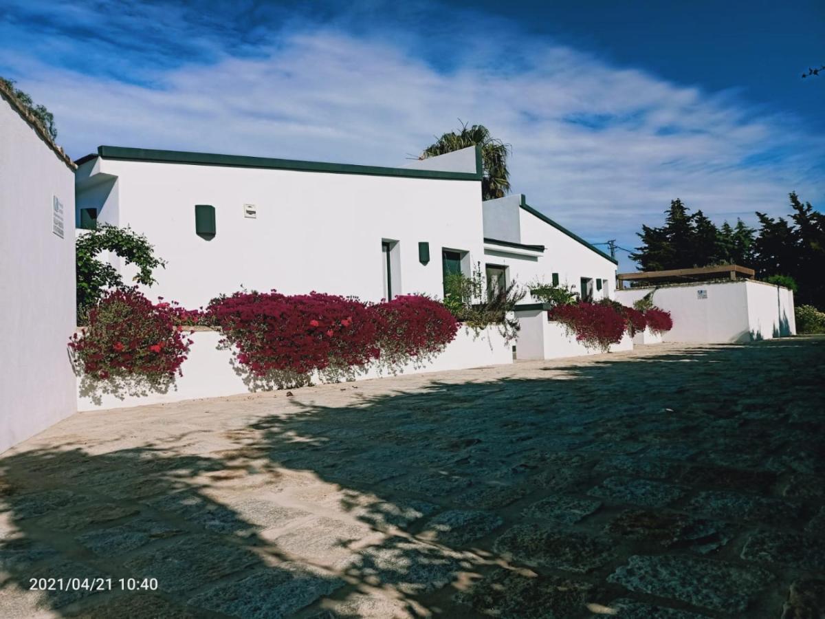 Casa La Palmera - Solo Familias Y Parejas Conil De La Frontera Buitenkant foto